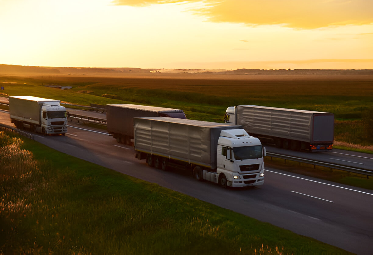 Vinjetės tikrinimas – kaip patikrinti ar esate sumokėję už kelius?