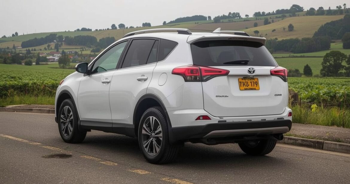 Toyota RAV4 (2013–2019 m.) apžvalga