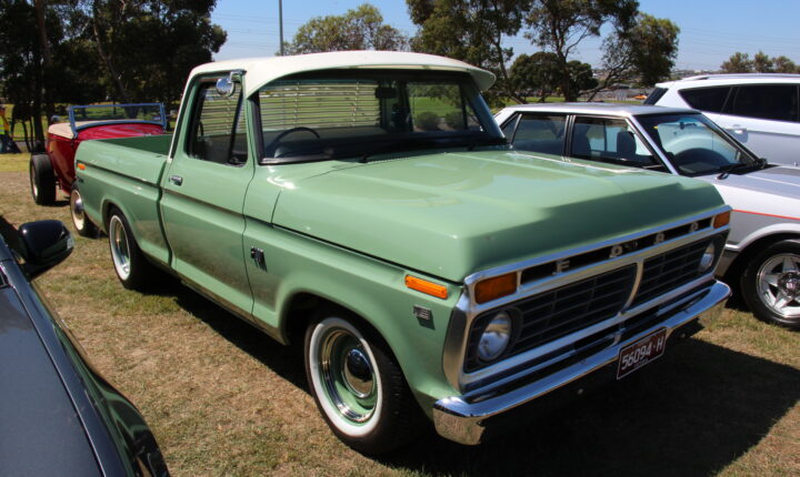 Ford F-Series F-100/F-150 Ford F-Series F-150 X Regular Cab (1997–2004) nuotrauka