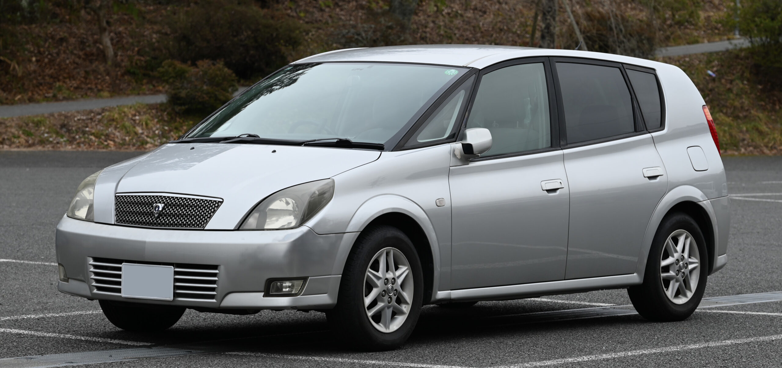 Toyota Opa (2000–2005) nuotrauka
