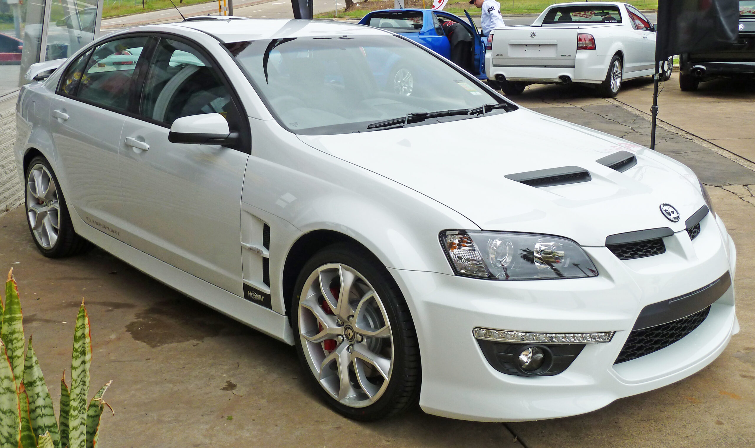 HSV Clubsport (VT) (1999–2000) nuotrauka