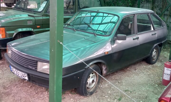 Dacia 1325 (1988–1998) nuotrauka