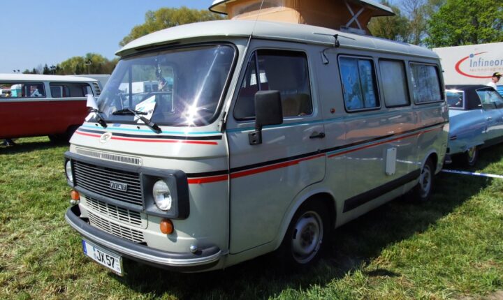 Fiat 238 -serie (1966–1982) nuotrauka