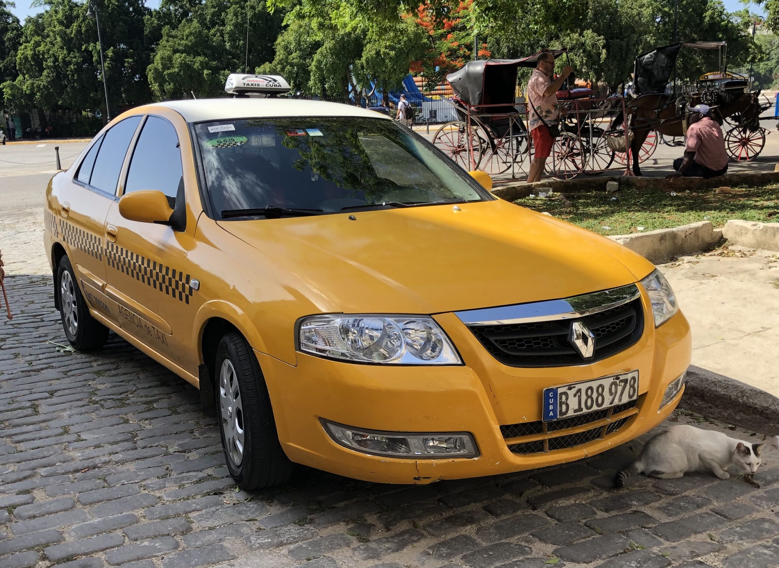 Renault Scala (2012–2017) nuotrauka
