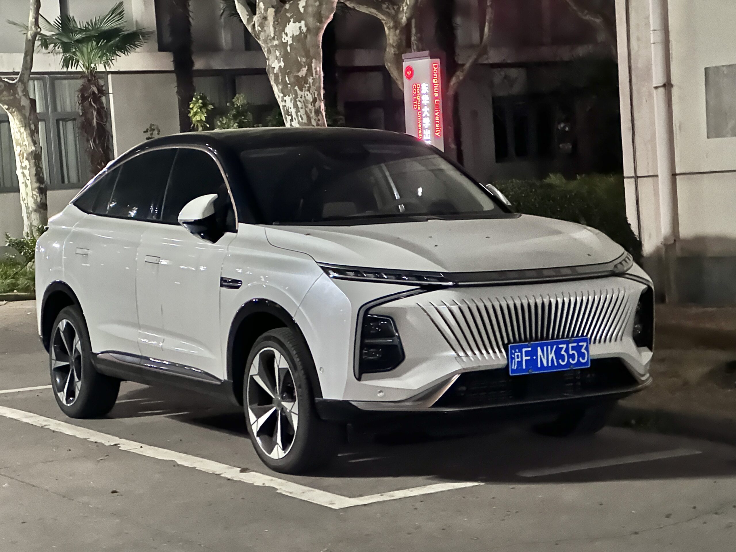 Roewe Whale (2022–2026) nuotrauka