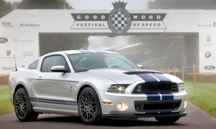 Ford Shelby II (facelift 2010) (2010–2014) nuotrauka