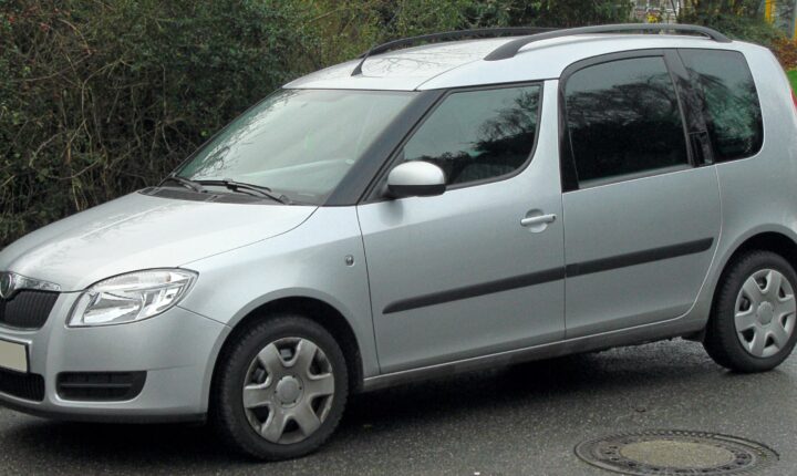 Skoda Praktik (2006–2010) nuotrauka